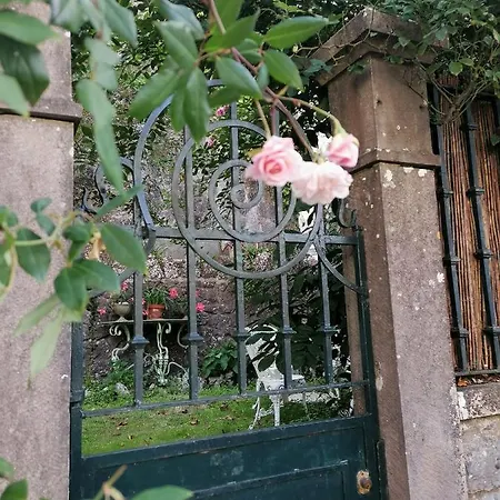 Osborne Pansiyon Sintra